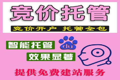 成功案例：SEM托管提升网站流量策略
